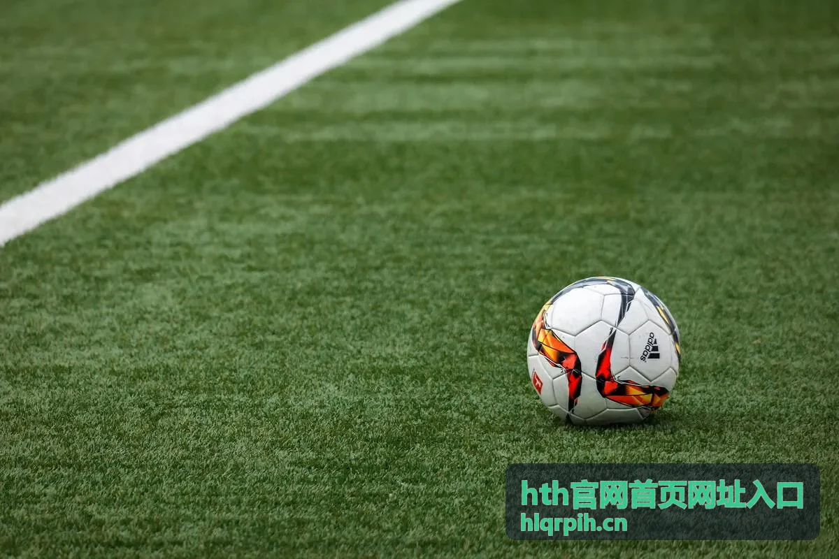 hth官网首页网址入口的访问与打开问题说明
